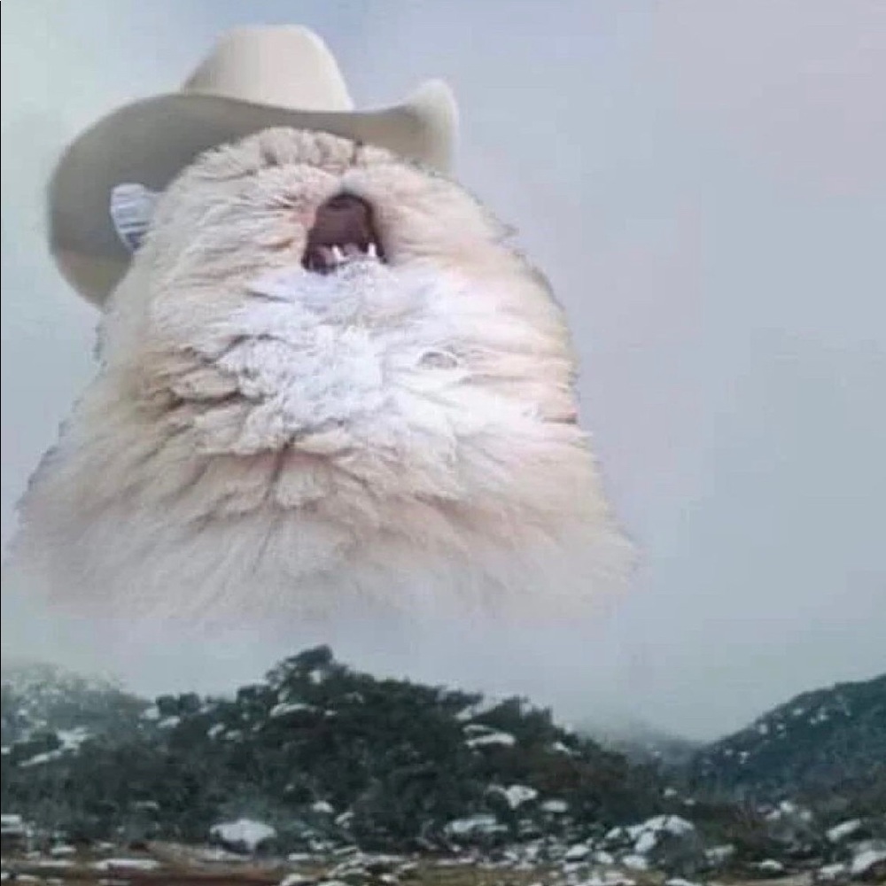 Meet your Posher, Ngoc